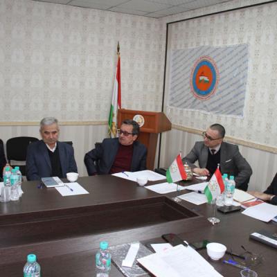 Мизи мудаввар